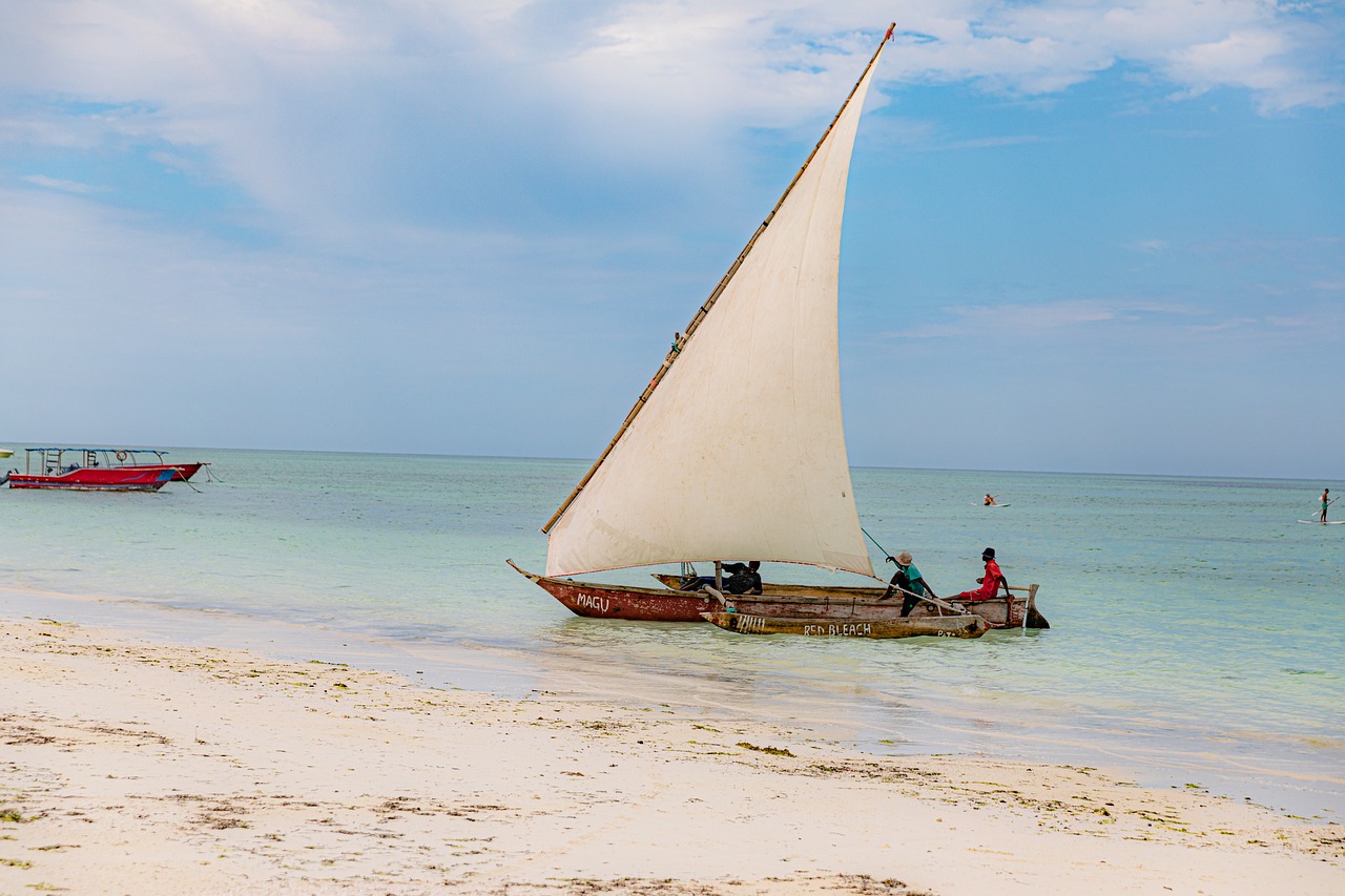 2026 - 2027 Best Tanzania Safaris and Tours from 2025